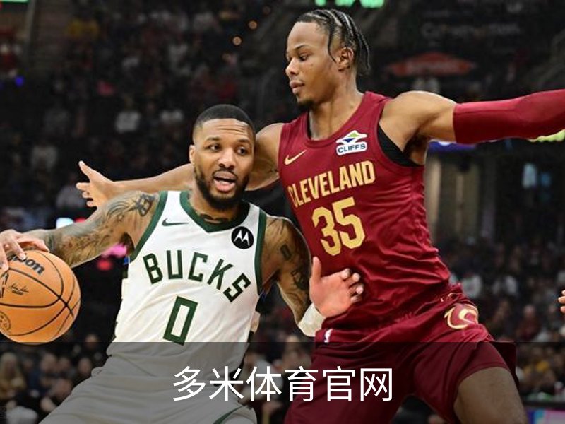 了解多米体育官网